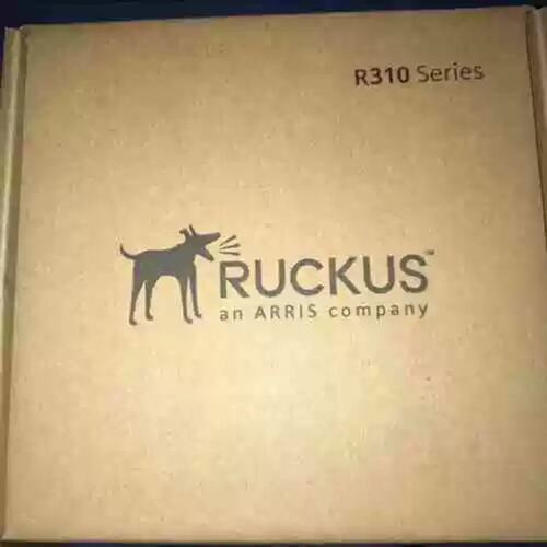 议价ruckus优科R310，型号：901-R310-WW02，