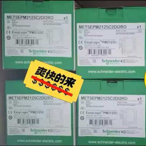 议价PM2125C METSEPM2125C2DI2RO维修