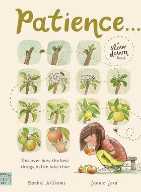 现货 耐心等待 Slow Down作者 Rachel Williams 英文原版 Patience