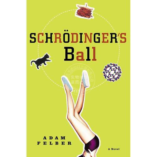 Schrodingers Ball企鹅兰登