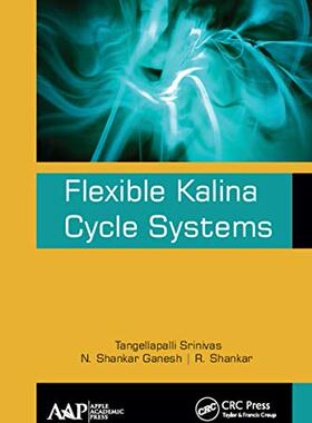 预售 按需印刷 Flexible Kalina Cycle Systems