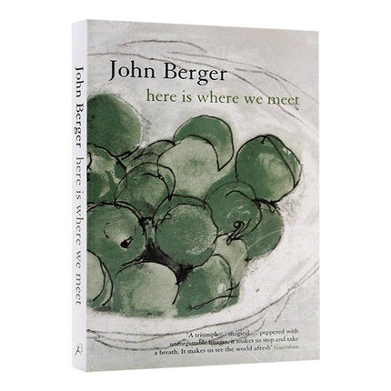 现货！英文原版   我们在此相遇 Here Is Where We Meet