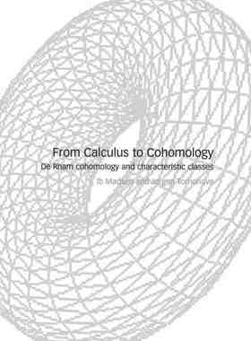 【预售 按需印刷】 From Calculus to Cohomology 从微积分到上同调:德拉姆上同调和特征类 Ib H. Madsen 英文原版