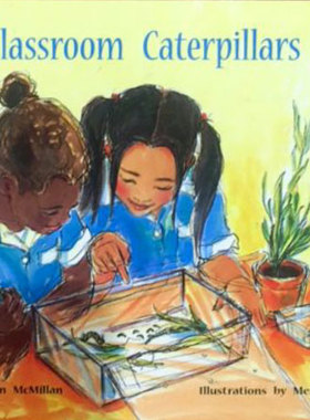 现货 Green Level 13B - Story Books PM彩虹阅读 小学教育分级阅读5册