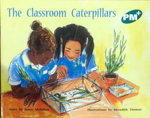 现货 Green Level 13B - Story Books PM彩虹阅读 小学教育分级阅读5册