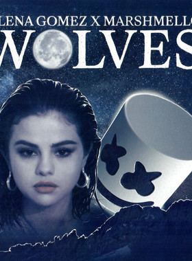 【中图音像】Selena Gomez 赛琳娜 - Wolves 7周年（7寸彩胶）1LP