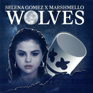 Gomez 赛琳娜 Wolves 7寸彩胶 Selena 7周年 1LP 中图音像