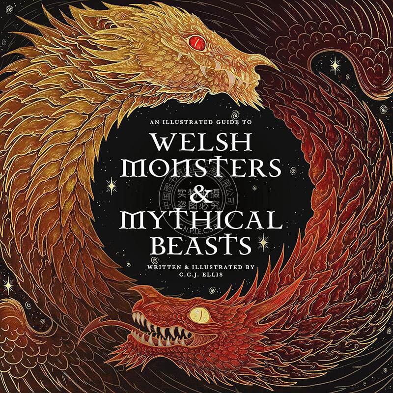 威尔士怪兽与神兽：凯尔特-威尔士神话传说中的传奇生物指南 C.C.J. Ellis 英文原版 Welsh Monsters & Mythical Beasts