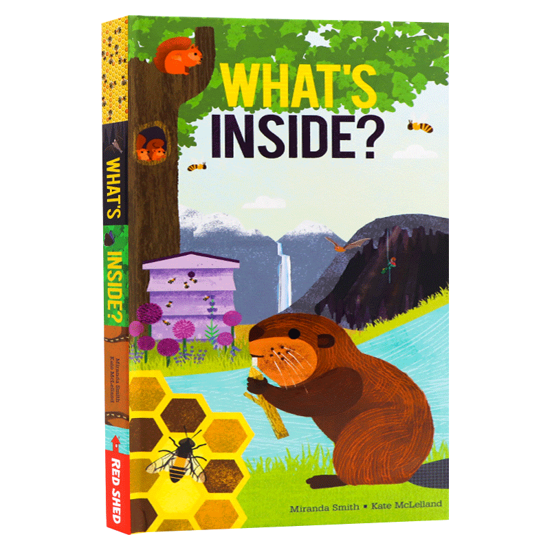 现货英文原版什么在里面 What's Inside儿童动物百科科普读物立体书探寻自然绘本中图_虎窝淘