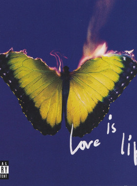 MAROON 5 魔力红乐团 爱像什么 Love Is Like（蓝胶）1LP