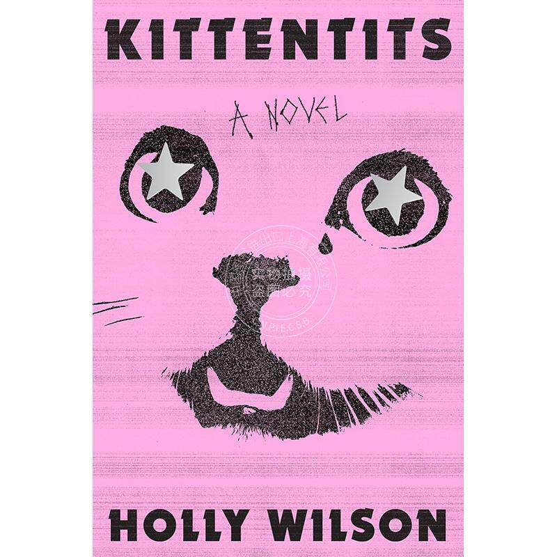 小猫 Holly Wilson 惊悚悬疑小说 英文原版 Kittentits