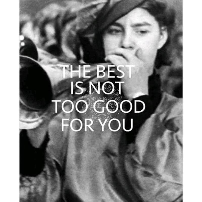 最好的未必适合你:英格兰公共收藏的新方法 英文原版 艺术画册 The Best is Not Too Good for You: New Approaches to Public Co