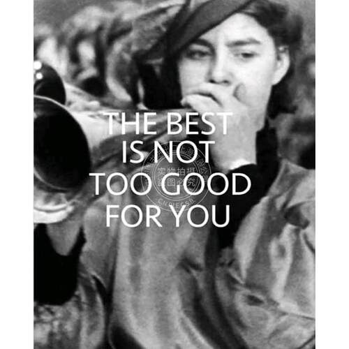 最好的未必适合你：英格兰公共收藏的新方法 英文原版 艺术画册 The Best is Not Too Good for You: New Approaches to Public Co