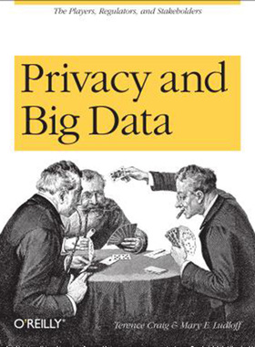 预售 按需印刷 Privacy and Big Data: The Players, Regulators, and Stakeholders