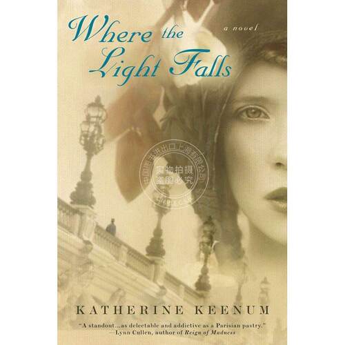 预售 Where the Light Falls企鹅兰登