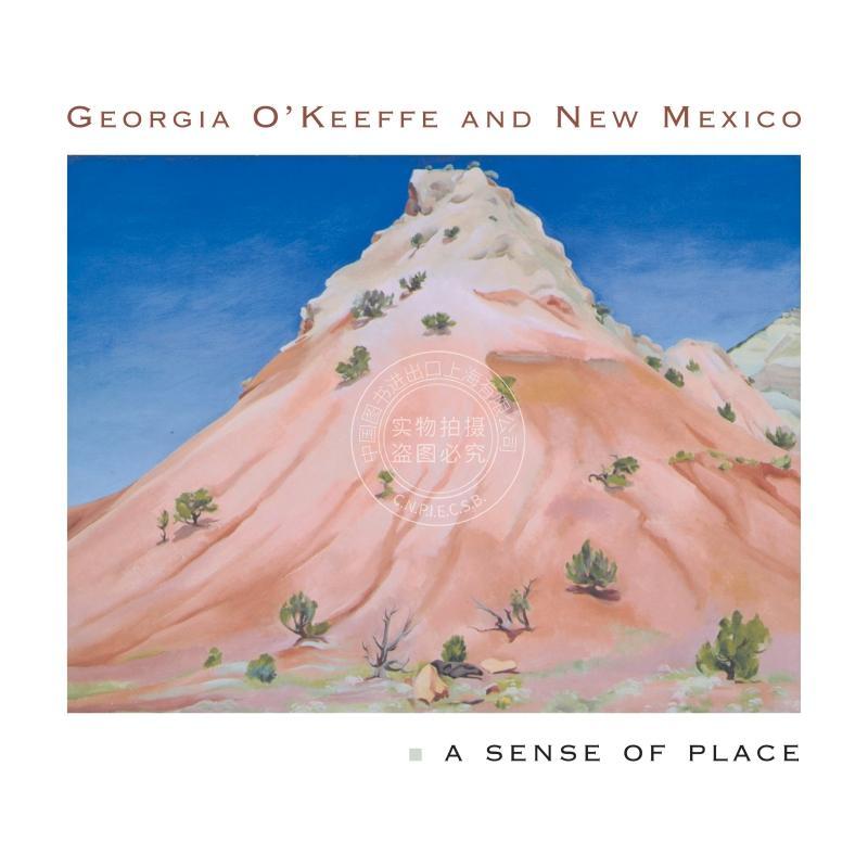 【预售 按需印刷】 Georgia O'Keeffe and New Mexico乔治亚·奥基夫和新墨西哥州 英文原版普林斯顿