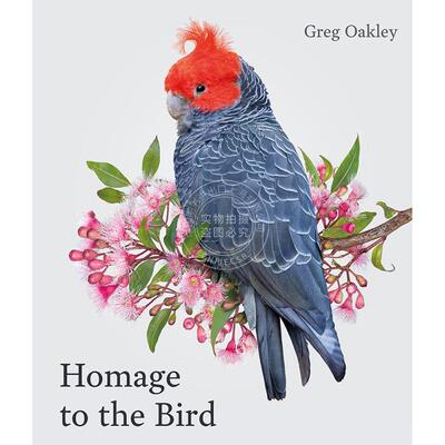 向鸟儿致敬 Greg Oakley 摄影艺术作品集 英文原版 Homage to the Bird