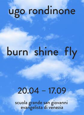 乌戈·罗迪纳：燃烧、闪耀、飞翔 艺术画册 英文原版 Ugo Rondinone: Burn Shine Fly