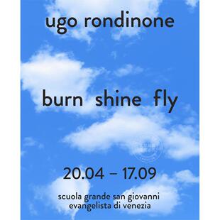 乌戈·罗迪纳：燃烧、闪耀、飞翔 艺术画册 英文原版 Ugo Rondinone: Burn Shine Fly