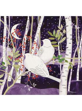 白桦树上的鸽子 明信片信封节日贺卡 文创周边 Peter Pauper Press 英文原版  Doves in White Birches Deluxe Boxed Holiday Card