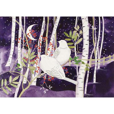 白桦树上的鸽子 明信片信封节日贺卡 文创周边 Peter Pauper Press 英文原版  Doves in White Birches Deluxe Boxed Holiday Card