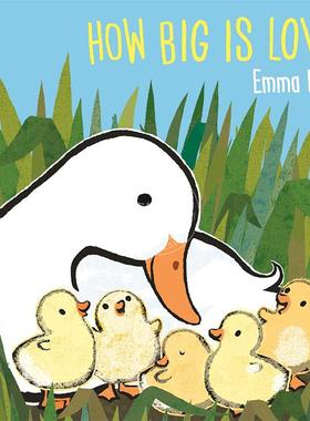 现货 爱有多大 儿童绘本故事书 Emma Dodd 英文原版 How Big Is Love? 1-5岁