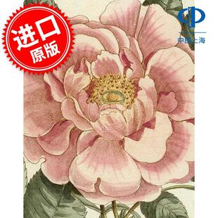 预售 约翰・德里安画集2 复古手绘艺术画集 英文原版 John Derian Picture Book II