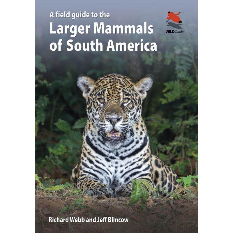 【满299送PUP新年台历】 A Field Guide to the Larger Mammals of South America南美洲大型哺乳动物图鉴 普林斯顿