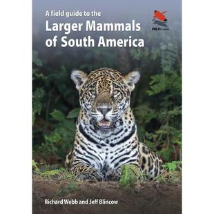 Larger 满299送PUP新年台历 Mammals America南美洲大型哺乳动物图鉴 Field South 普林斯顿 Guide the