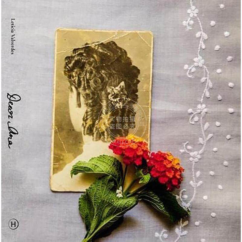 莱蒂西亚·瓦尔韦德斯 亲爱的安娜 英文原版 艺术画册 Leticia Valverdes Dear Ana