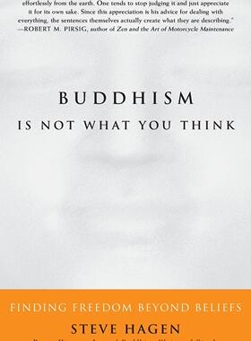 预售 按需印刷 Buddhism Is Not What You Think  Finding Freedom Beyond Beliefs 佛教不是你想的那样:寻找超越信仰的自由