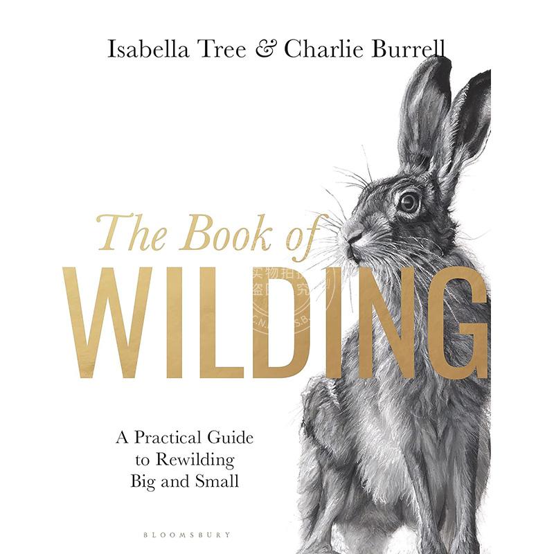 野化之书：大小野化实用指南 Isabella Tree英文原版 The Book of Wilding: A Practical Guide to Rewilding Big and Small