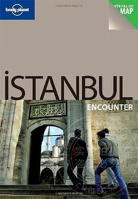 现货 Lonely Planet Istanbul Encounter