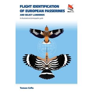 Identification Select 满299送PUP新年台历 Landbirds普林斯顿 and Flight Passerines European