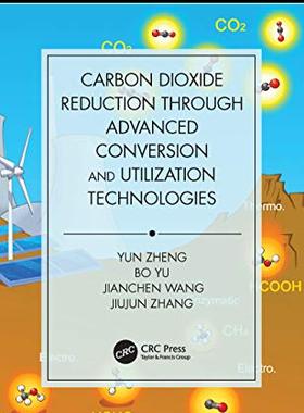 预售 按需印刷 Carbon Dioxide Reduction through Advanced Conversion and Utilization Technologies