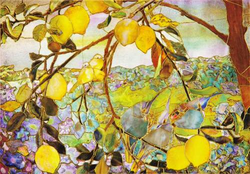 蒂芙尼柠檬树 明信片信封贺卡 文创周边 Peter Pauper Press 英文原版  Tiffany Lemon Tree Note Cards