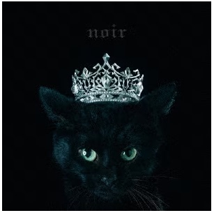 SELECTION BEST noir aimer 日文原版 中图音像