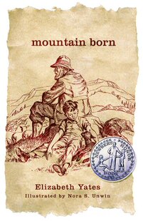 GRD BORN 英文原版 MOUNTAIN