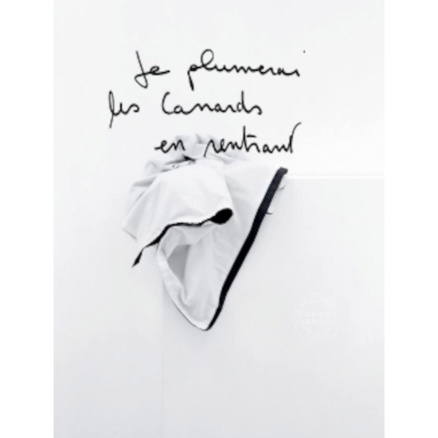 回家后我要拔鸭子的毛 法文原版 Je plumerai les canards en rentrant