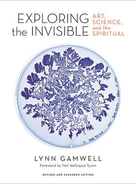 探索无形 艺术、科学与精神 Lynn Gamwell 英文原版 Exploring the Invisible: Art  Science  and the Spiritual