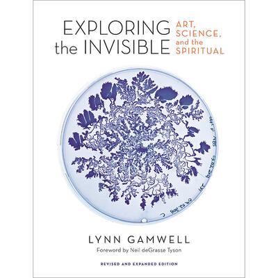 探索无形 艺术、科学与精神 Lynn Gamwell 英文原版 Exploring the Invisible: Art  Science  and the Spiritual