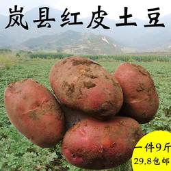 岚县红皮农家沙面糯新鲜高山大土豆马铃薯洋芋净重9斤以上包邮