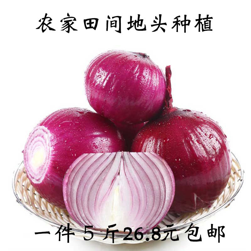 红皮紫皮洋葱5斤包邮新鲜时令蔬其它