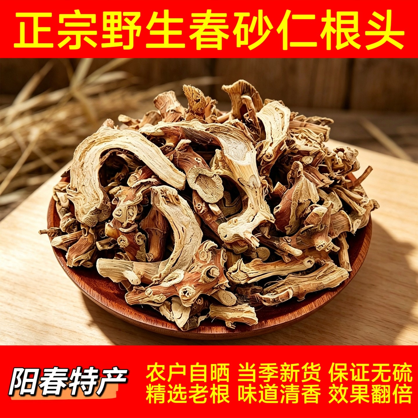 春砂仁根阳春砂仁根头蟠龙野生春砂仁根阳春特产春沙仁根纱仁根头