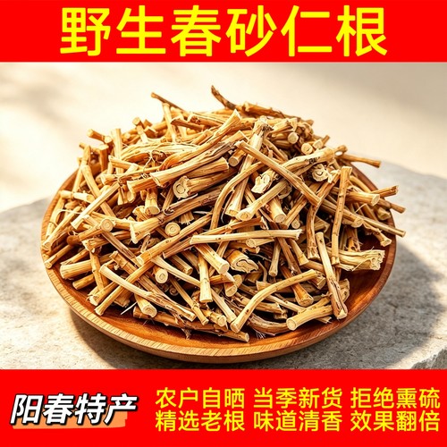 蟠龙新货正宗阳春春砂仁根干农家自晒野生沙仁根春砂仁头食用煲汤