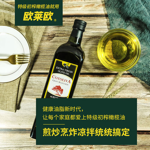 原装进口西班牙特级初榨橄榄油