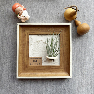 ins空气凤梨套餐磁吸现代装饰画框复古桌面挂墙原木白边相框5寸