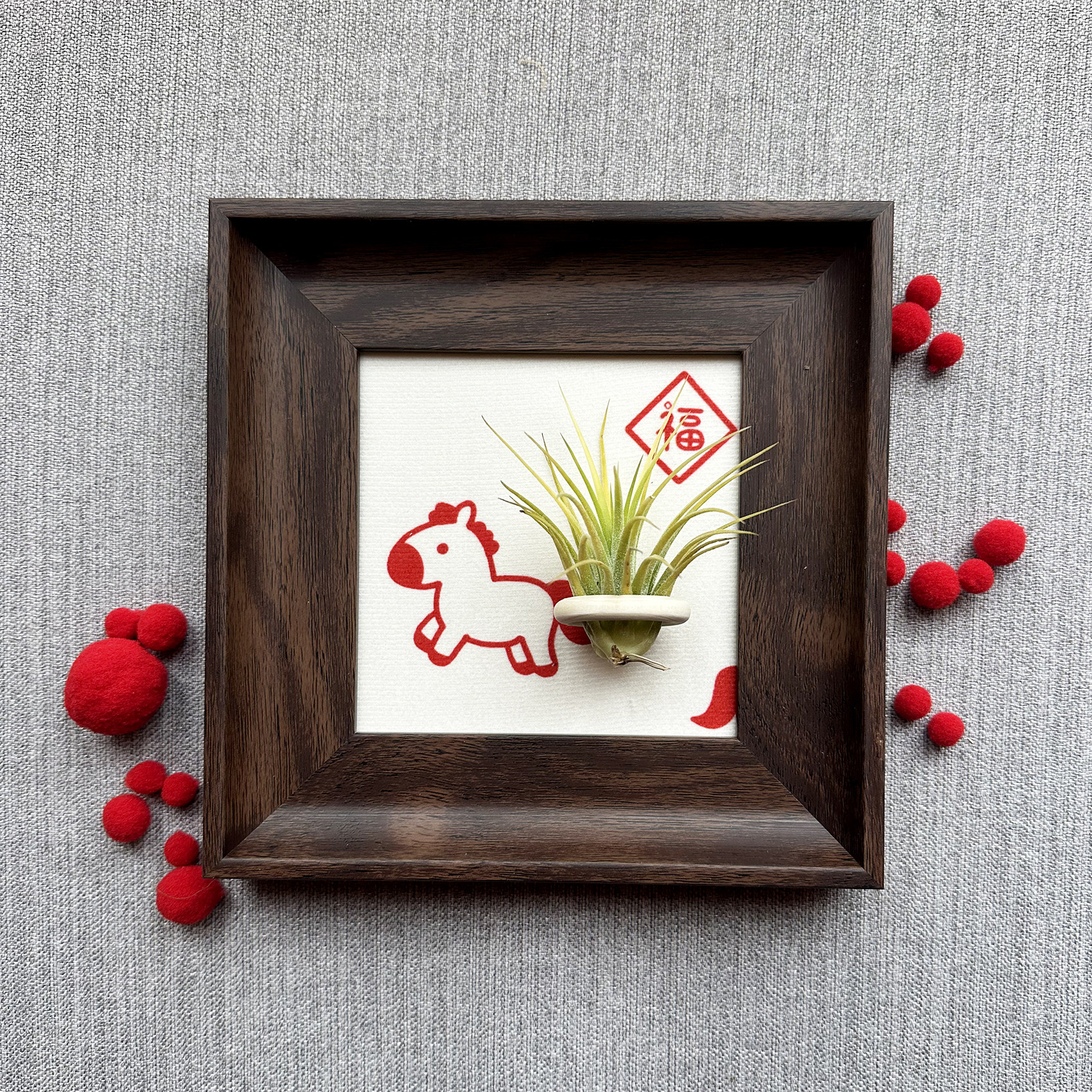 小凤仙儿空气凤梨套餐懒人画框桌面墙上深棕色相框5寸马年新年款,鲜花速递/花卉仿真/绿植园艺,空气凤梨/积水凤梨,淘宝优惠券,粉丝福利购,淘宝优惠卷