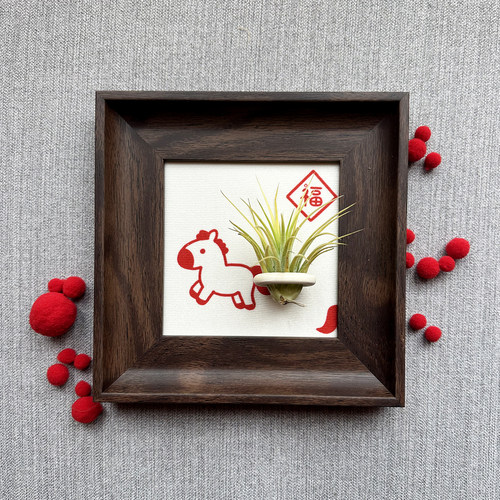小凤仙儿空气凤梨套餐懒人画框桌面墙上深棕色相框5寸马年新年款