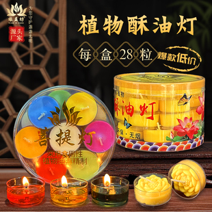 28粒4小时胶壳酥油灯3个钟梅花粒七彩无烟蜡烛祈愿礼佛寺庙供灯